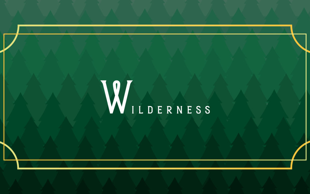 Wilderness Playing Cards